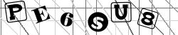 Insert captcha